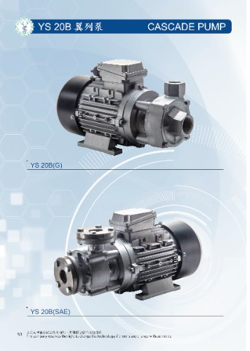 YS 20B 翼列泵